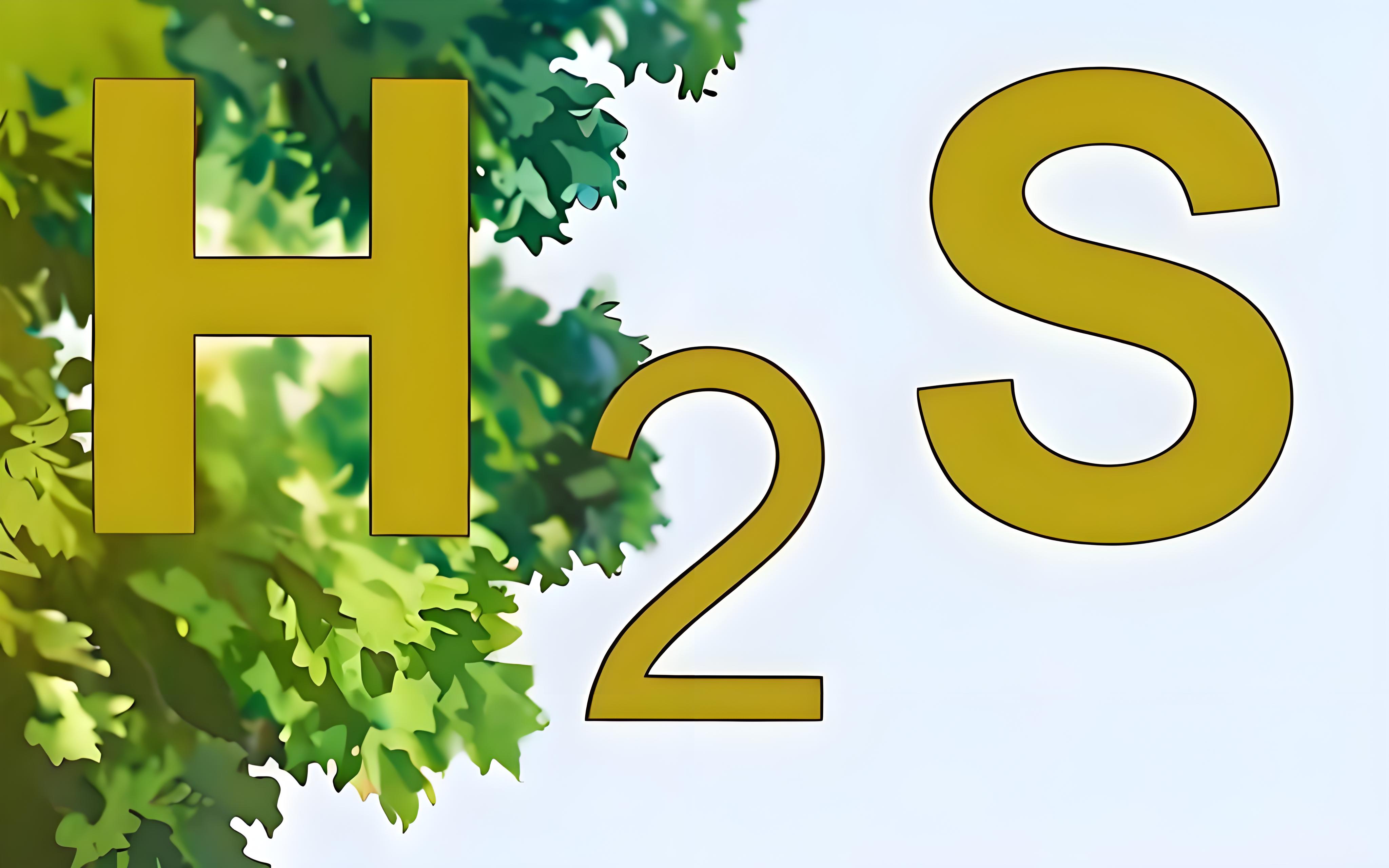 氣體檢測(cè)儀氫氣報(bào)警閾值和硫化氫的有什么區(qū)別？