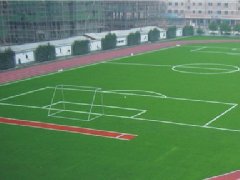 專業(yè)的塑膠跑道施工單位