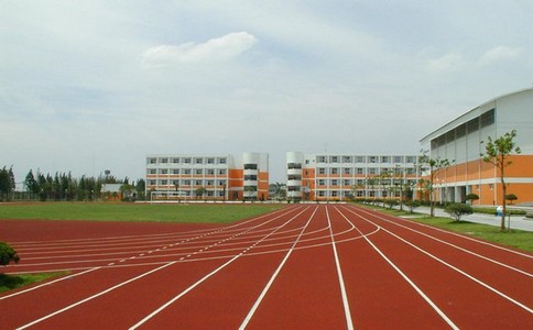 塑膠運(yùn)動(dòng)場(chǎng)地工程